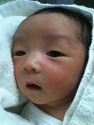 New baby born! (4 days old)