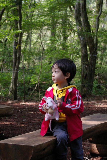 Jeju Trip (사려니숲길)