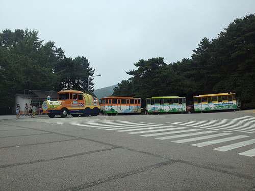 Summer 2013 in Busan