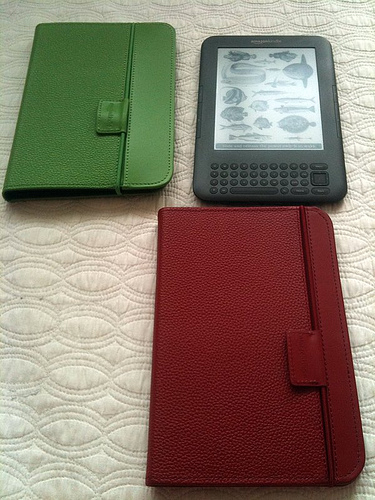 Lighted Kindle cover