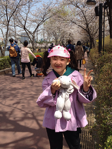 석촌 호수 벚꽃 축제