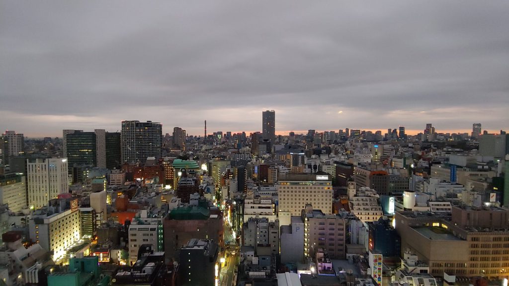 신주쿠 고질라호텔 (Hotel Gracery&nbsp;Shinjuku)