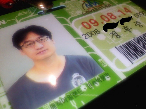 Lotte World Adventure Annual Pass