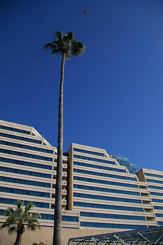 Hyatt Regency, Santa Clara