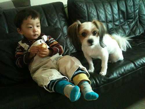 Visited in-laws, Bundang