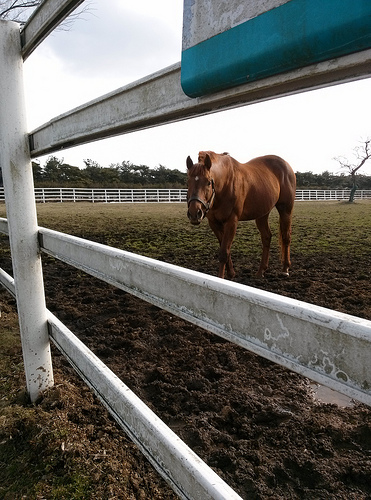 Jeju Trip on Feb 2013