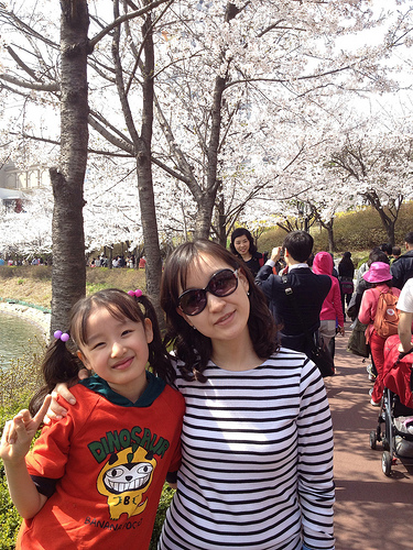 석촌 호수 벚꽃 축제