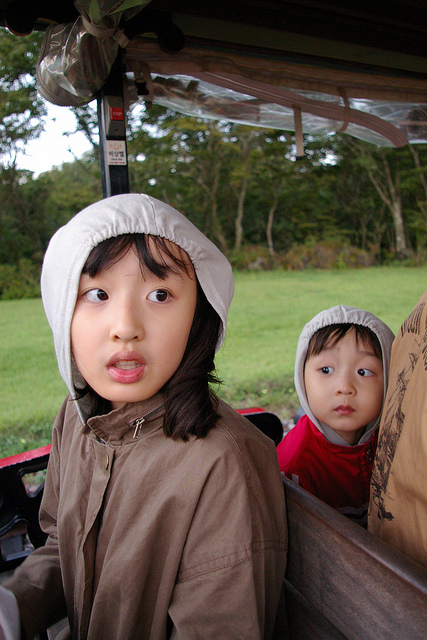 Jeju Trip (Eco Land)