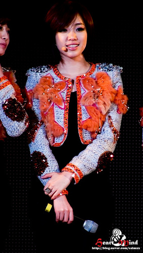 Tiara at Lotte World (taken by a blogger)