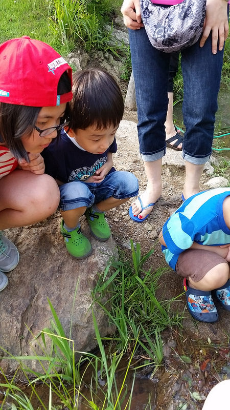 Gonjiam Resort, Summer 2014