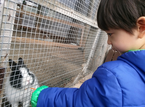 Jeju Trip on Feb 2013