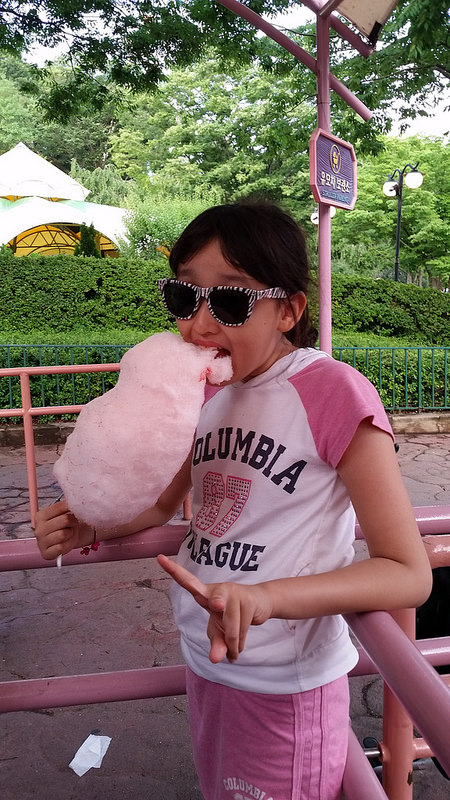 Everland in summer 2014