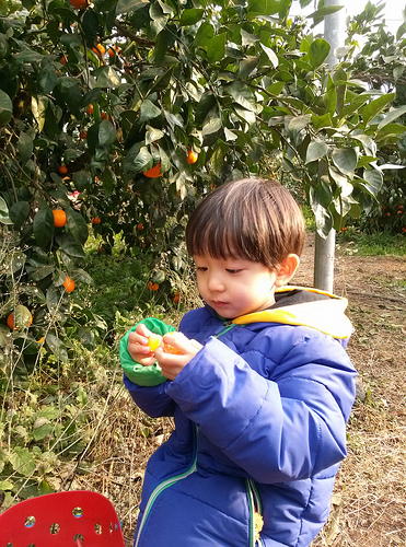 Jeju Trip on Feb 2013