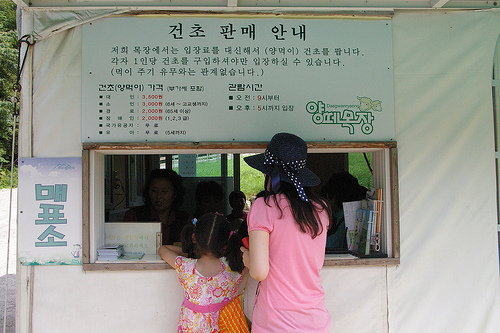 Daegwallyong Sheep Farm