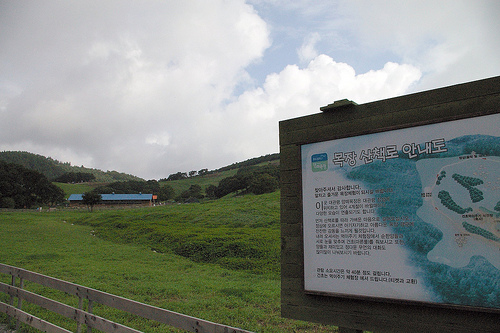 Daegwallyong Sheep Farm