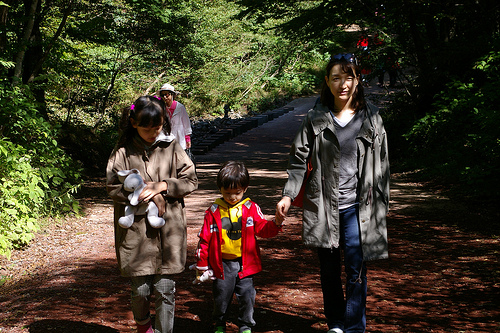 Jeju Trip (사려니숲길)