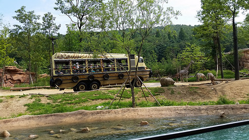 Everland in summer 2014