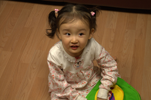 짐보 가방을 받고