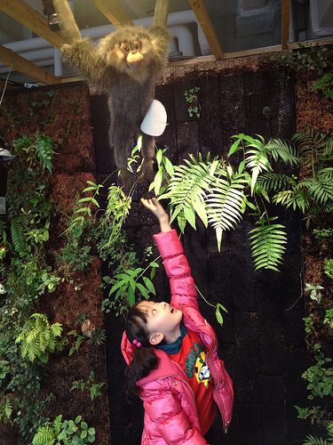 Green Cafe @ The Green Factory