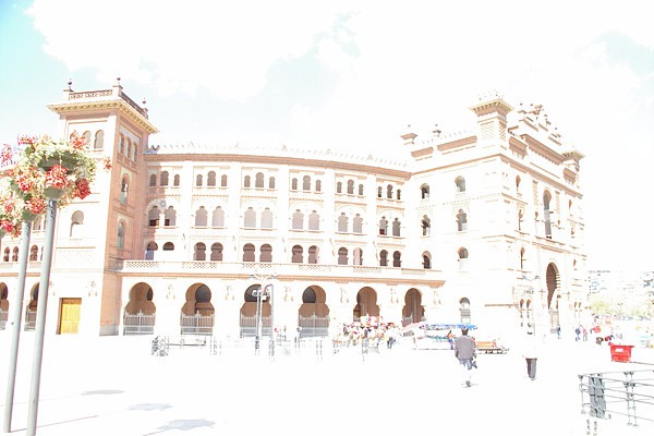 유럽 출장 – Madrid:&nbsp;투우