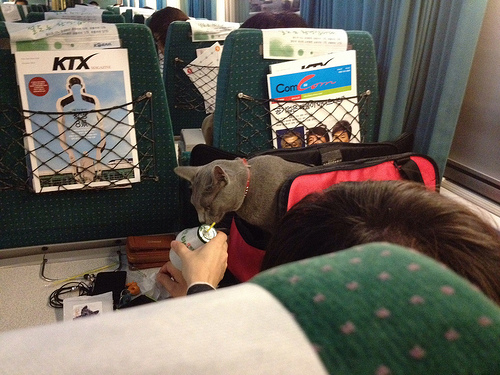 2012년 추석: In KTX