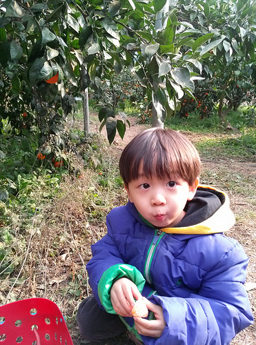 Jeju Trip on Feb 2013