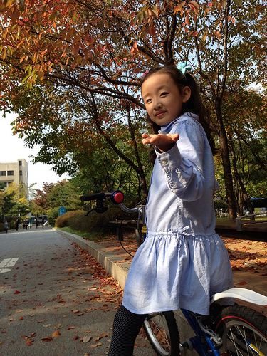 여의도공원 2012/10/22