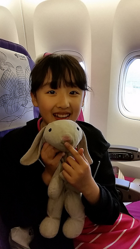 Thai Air (TG628, HKG to ICN)