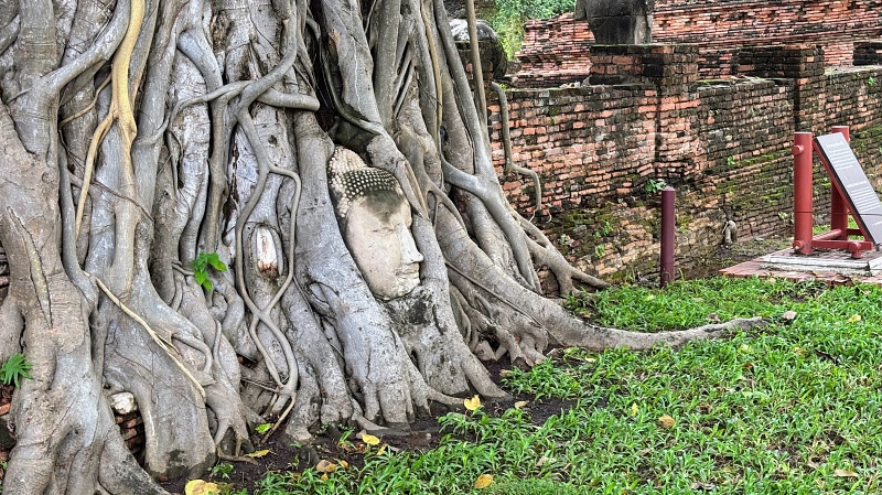 2025년 방콕 혼여 (7) – 4일차&nbsp;낮